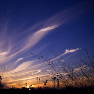 Preview wallpaper sky, evening, grass, silhouettes, dark