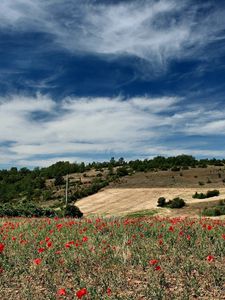 Preview wallpaper sky, field, clouds, lungs, poppies, clearly