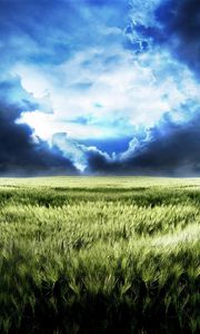 Preview wallpaper sky, field, gloomy, dark blue, gleam, bad weather