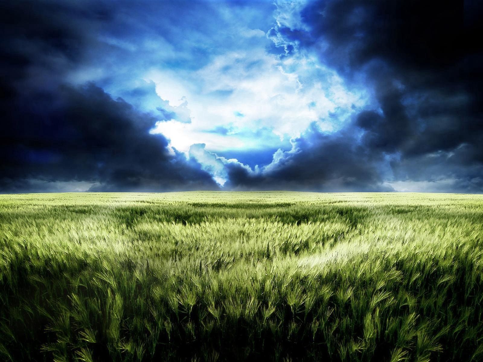 Download Wallpaper 1600x10 Sky Field Gloomy Dark Blue Gleam Bad Weather Standard 4 3 Hd Background