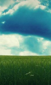 Preview wallpaper sky, field, summer, grass, plane, blades