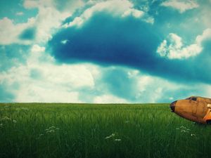 Preview wallpaper sky, field, summer, grass, plane, blades