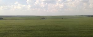 Preview wallpaper sky, grass, nature, horizon, clouds