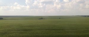 Preview wallpaper sky, grass, nature, horizon, clouds