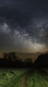 Preview wallpaper sky, grass, stars, night