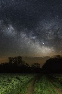 Preview wallpaper sky, grass, stars, night