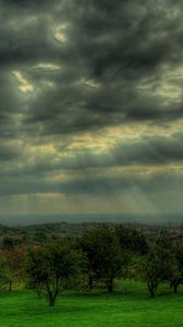 Preview wallpaper sky, gray, clouds, beams, sun, trees