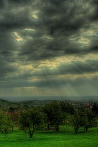 Preview wallpaper sky, gray, clouds, beams, sun, trees