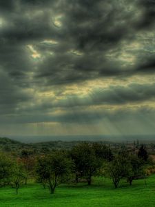 Preview wallpaper sky, gray, clouds, beams, sun, trees