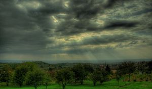 Preview wallpaper sky, gray, clouds, beams, sun, trees