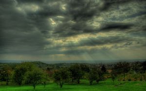 Preview wallpaper sky, gray, clouds, beams, sun, trees