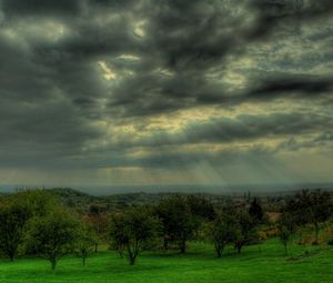 Preview wallpaper sky, gray, clouds, beams, sun, trees