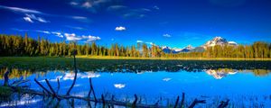 Preview wallpaper sky, lake, snag, water-lilies, coast, open space, brightly