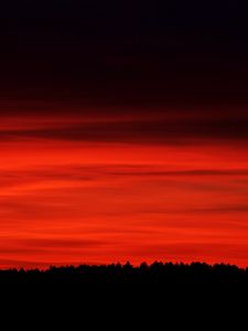 Preview wallpaper sky, red, horizon, trees