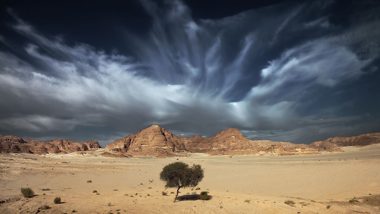 Wallpaper sky, sand, clouds, tree, open spaces, desert
