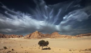 Preview wallpaper sky, sand, clouds, tree, open spaces, desert