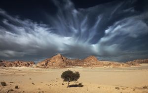 Preview wallpaper sky, sand, clouds, tree, open spaces, desert