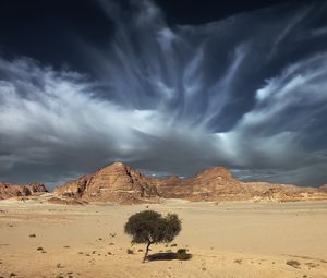 Preview wallpaper sky, sand, clouds, tree, open spaces, desert