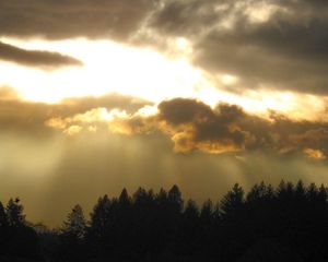 Preview wallpaper sky, sunlight, evening, trees, outlines