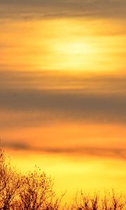 Preview wallpaper sky, sunrise, trees, branches, nature