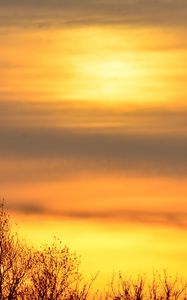 Preview wallpaper sky, sunrise, trees, branches, nature