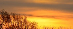 Preview wallpaper sky, sunrise, trees, branches, nature