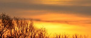 Preview wallpaper sky, sunrise, trees, branches, nature