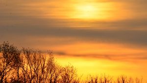 Preview wallpaper sky, sunrise, trees, branches, nature