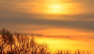 Preview wallpaper sky, sunrise, trees, branches, nature