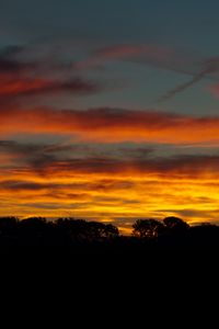 Preview wallpaper sky, sunset, trees