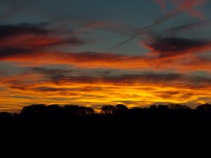 Preview wallpaper sky, sunset, trees