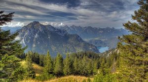 Preview wallpaper sky, tops, coniferous forest, height, colors