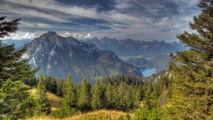 Preview wallpaper sky, tops, coniferous forest, height, colors