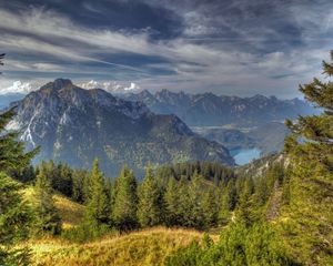 Preview wallpaper sky, tops, coniferous forest, height, colors