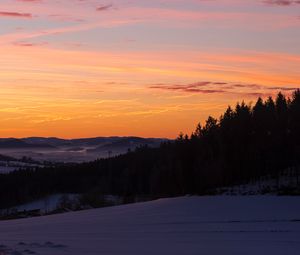 Preview wallpaper sky, trees, dawn, snow, clouds