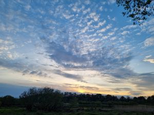 Preview wallpaper sky, trees, nature, landscape