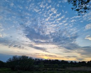 Preview wallpaper sky, trees, nature, landscape