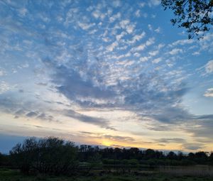 Preview wallpaper sky, trees, nature, landscape