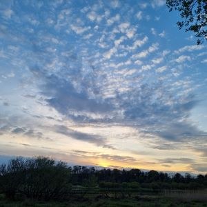 Preview wallpaper sky, trees, nature, landscape