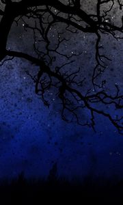 Preview wallpaper sky, trees, night