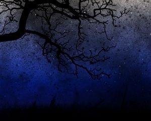 Preview wallpaper sky, trees, night