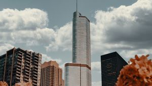 Preview wallpaper skyscraper, architecture, buildings, city, hydrangea