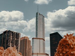 Preview wallpaper skyscraper, architecture, buildings, city, hydrangea