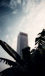 Preview wallpaper skyscraper, building, palm, branches