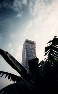 Preview wallpaper skyscraper, building, palm, branches