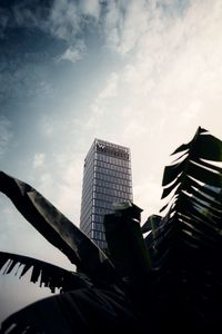 Preview wallpaper skyscraper, building, palm, branches