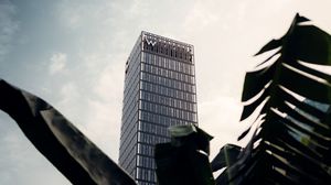 Preview wallpaper skyscraper, building, palm, branches