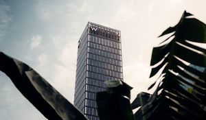 Preview wallpaper skyscraper, building, palm, branches
