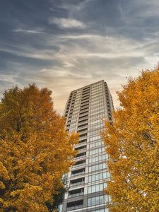 Preview wallpaper skyscraper, building, trees, architecture