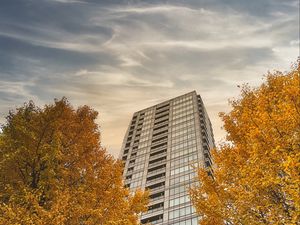 Preview wallpaper skyscraper, building, trees, architecture
